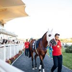 有哪些经典的百家乐成败故事?-博彩交流-博彩策略-博彩论坛